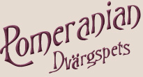 *THUJA-HILL DVRGSPETS-POMERANIAN*